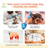 LovinPet Dog Recovery Bodysuit, Full Body Wound Protection for Large