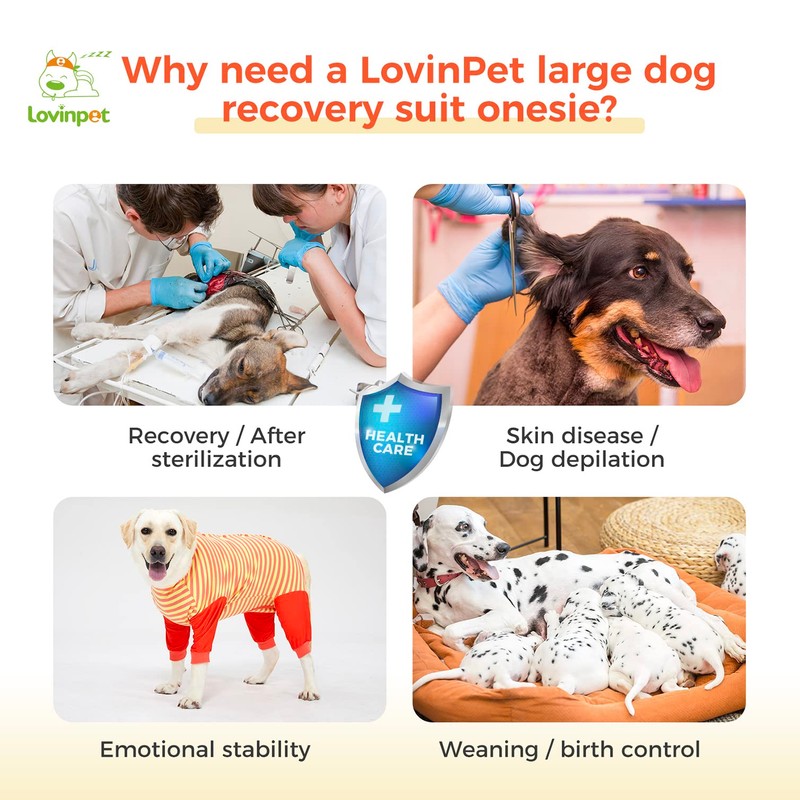 LovinPet Dog Recovery Bodysuit, Full Body Wound Protection for Large