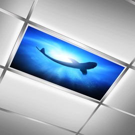 mchuang Shark Sea Waves Flexible Fluorescent Light Cover Films Skylight Ceiling for School Classroom Office English Pub Pool