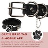 FAVPET Hand-Painted Genuine Leather Greyhound Collar Wide with QR Code