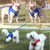 Dog Harness Set with Lead, Dog & Cat, Small Soft