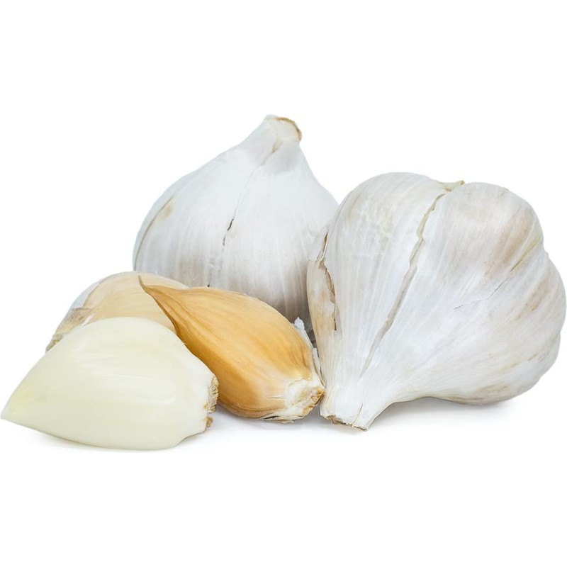Fresh organic elephant garlic bulbs 2 pounds