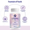 Liposomal Hyaluronic Acid Supplements 1000mg-High Bioavailable Dietary Hyaluronic Acid Capsules-with