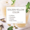 Monin - French Vanilla Syrup with Monin BPA Free Pump,