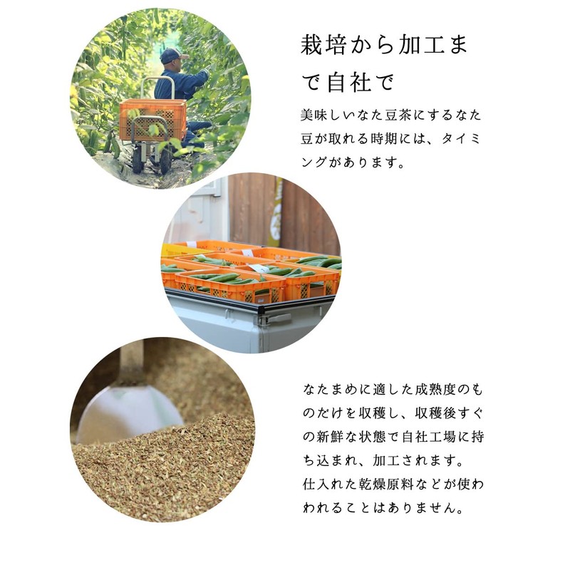 Koyamaen Tanba Nata Bean Tea 3g x 30 Pieces (Domestic