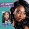 Just 5 Women's 5 Minute Permanent Hair Color, Jet Black