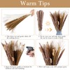 360 Pcs Dried Pampas Grass Decor, 17 Inch Dried Flower