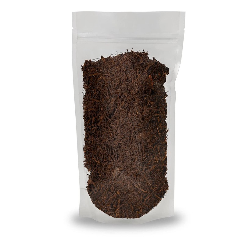 Premium New Zealand Tree Fern by GARDENERA - Orchid and