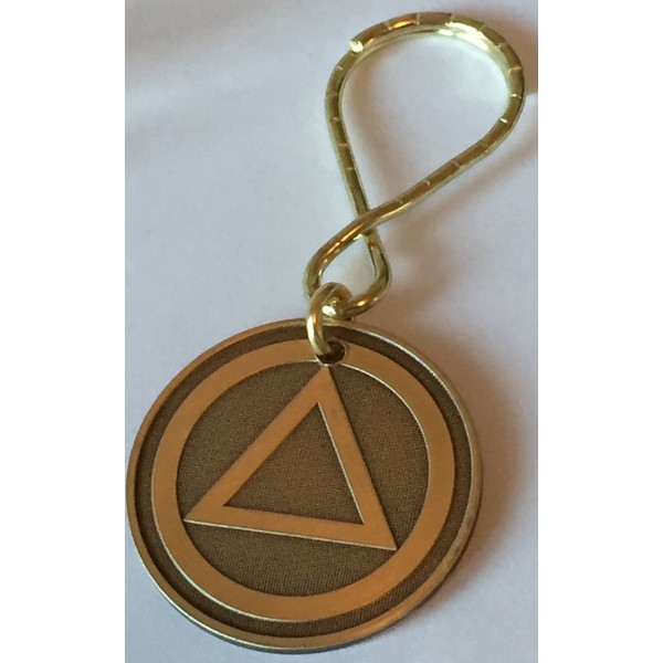 Circle Triangle Pain Is Necessary Suffering Is Optional AA Alcoholics Anonymous Logo Keychain Bronze Key Chain