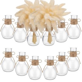Bokon 12 Jarrones de Plástico para Capullos a Granel para Centros de Mesa Jarrones de 12 cm para Cultivar Aguacate Jacinto Pequeños Recipientes para Bulbos Flores Decorar Mesas de Bodas