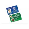 Like Shop Pack De 25 Credenciales De Pvc Impresas Por