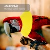 POPETPOP Bird Anti-bite Collar: Bird Protective Collar Parrot Protective Collar
