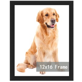RUN HELIX 12x16 Picture Frame Black - Polished Plexiglass, Wall-Mountable, Hanging Kit Included. Suited for Family Portraits, Scenic Landscapes, Wedding Shots & More. Durable, Stylish, Adorns Home.