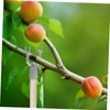 Gatuida 6Pcs Aluminium Alloy Tree Branch Support Kit for Propping
