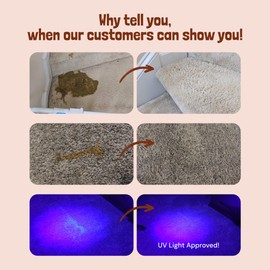 Sunny & Honey Turbo Charged Pet Stain & Odor Miracle - Enzyme Cleaner for Dog Urine & Cat Pee - Pet Odor & Stain Remover Spray for Carpet, Mattress, Furniture - Carpet Cleaner (32 Fl Oz, Spring Mint)