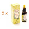 APIARIO SILVESTRE Propolis Extract Brazilian Green APIARIO 5 bottles x