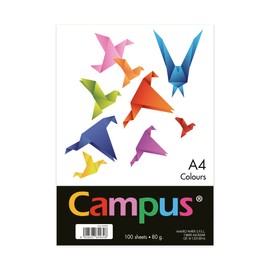 Campus - Coloured A4 Paper Pack of 100 80gsm 210x297mm A4 Paper Soft Soft Ideal for Bookbinding, Office, Drawing and Crafts - Orange