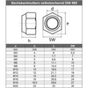 M14 (5 pieces) hex nuts, low shape, stainless steel VA