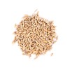 Thunder Acres Barley Seed - Certified Organic - Non-GMO (5lb)