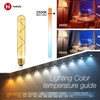 helloify T10 Dimmable Vintage LED Edison Tubular Bulb, 40W Equivalent,