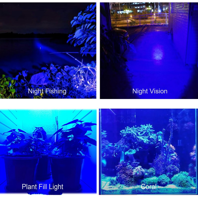 ZYUNMALL Blue Light Flashlight Single Mode Zoomable Blue LED Flashlights