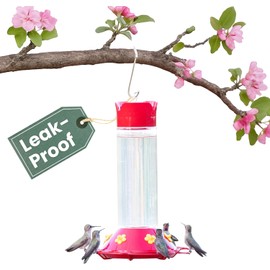 Perky-Pet 209B-1SR Glass Hummingbird Feeders for Outdoors Hanging - 30 fl oz Nectar Capacity - Ant & Bee Guarded Red Bird Feeder