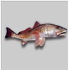 Vinyl Junkie Graphics Redfish Sticker/Decal