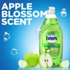 Dawn Ultra Antibacterial Hand Soap Apple Blossom Scent Dishwashing Liquid