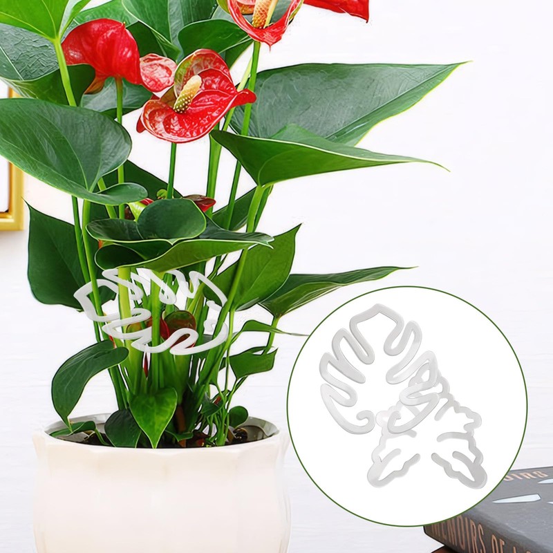 Monstera Plant Support, Stabilizer Supports Stakes for Indoor Plants, Plant