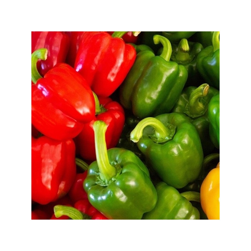 Domestic red bell pepper product 1kg / 국내산 빨강 홍