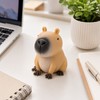 3 Pcs Capybara Squishy Toy for Squeezing & Fidgeting –