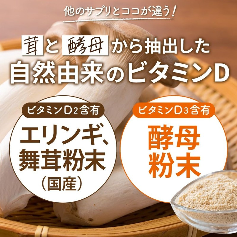【自然由来 ビタミンD サプリメント】2500IU キノコと酵母から摂るビタミンD（舞茸 エリンギ 酵母） 乳酸菌 1000億個配合 国内製造 60粒