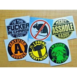 Unbranded/Generic 6 Funny Hard Hat Stickers \ Boss in Charge A-Hole Merit Badge Award Foreman Kit