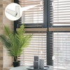 Blind Pull Cord Ends 10 Pack Window Blind Wood Cord