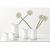 Vase White