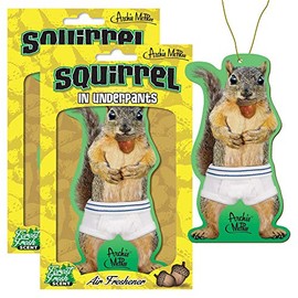 Accoutrements Squirrel in Underpants Deluxe Air Freshener (Pack of 2 Deluxe Air Freshener) (Pack of 2)