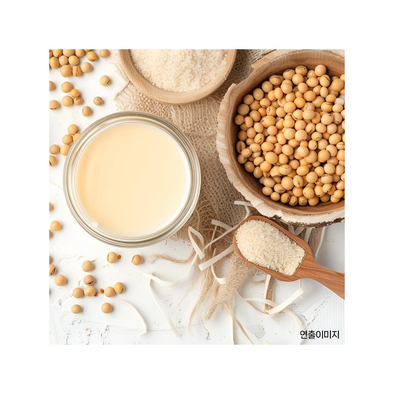 분리 대두 단백질 식물성 소이 프로틴 원물 보충제 ISP 무맛