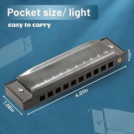 ProBytes Diatonic Harmonica in C Key-Scale - 10 Holes Symphony Mouth Organ, Steel-ABS, Gift-Carry Case, Artists, Professionals, Beginners, Adults, Stage Performer, Juniors, Musical Instrument – Silver