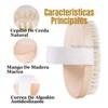 4pcs Cepillo Corporal De Cerdas Natural Exfolia Piel Muerta