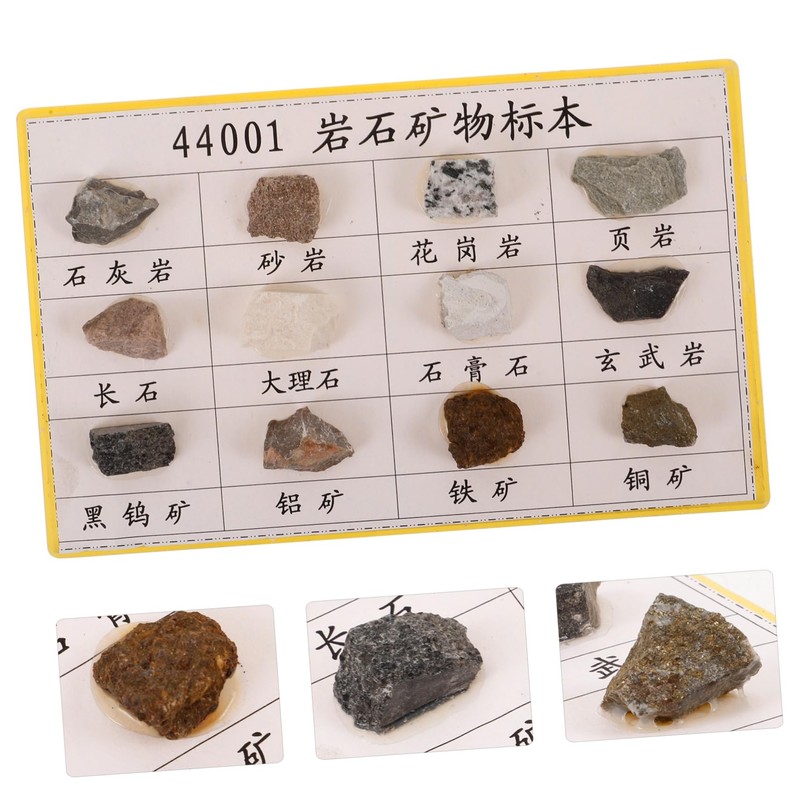 BUGUUYO 12pcs Portable Mineral Rock Specimen for Geology Education Lightweight