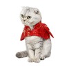 Chinese New Year Cat Costume,Pet Clothes New Year Clothes Cloak