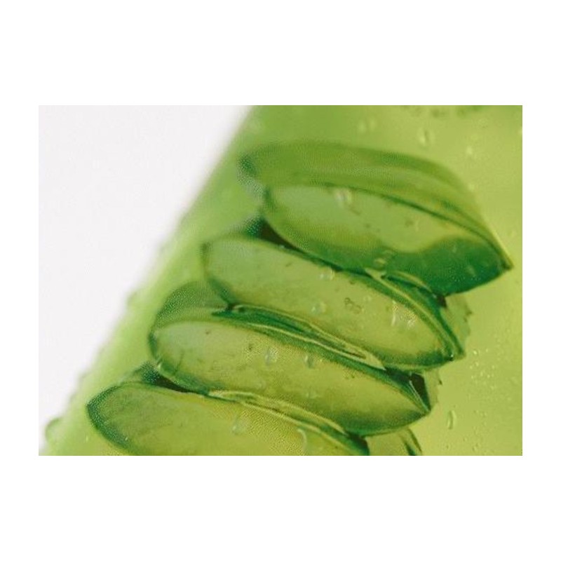 Nature Republic Soothing & Moisture Aloe Vera Soothing Gel Mist