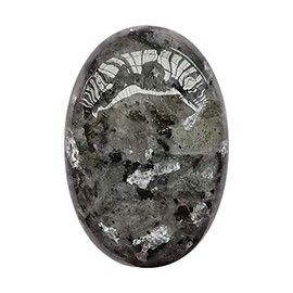 Manekieko Natural Black Labradorite Oval Palm Pocket Healing Crystal Massage Spa Energy Stone,Healing Crystal for Therapy Geometry Chakra Balancing