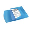Esselte Box File, Holds up to 350 A4 Sheets, Elastic