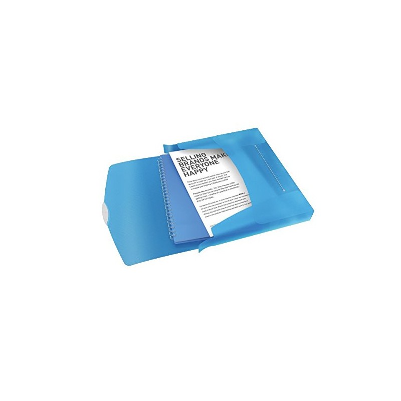 Esselte Box File, Holds up to 350 A4 Sheets, Elastic