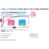 Terumo Electronic Thermometer C232A