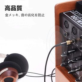 Stereo Mini Plug to Stereo Standard Plug Conversion Plug Gold Plated Plug Conversion 3.5mm ⇒ 6.3mm Mini Plug for Headphone Amplifier Electronic Piano Earphones etc. (2 pieces)