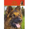 German Shepherd Birthday Card