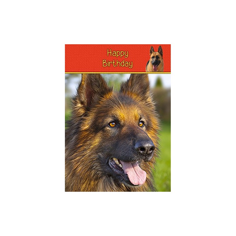 German Shepherd Birthday Card