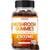 Mushroom Gummies 120 Count | Premium Mushroom Complex with Lion’s